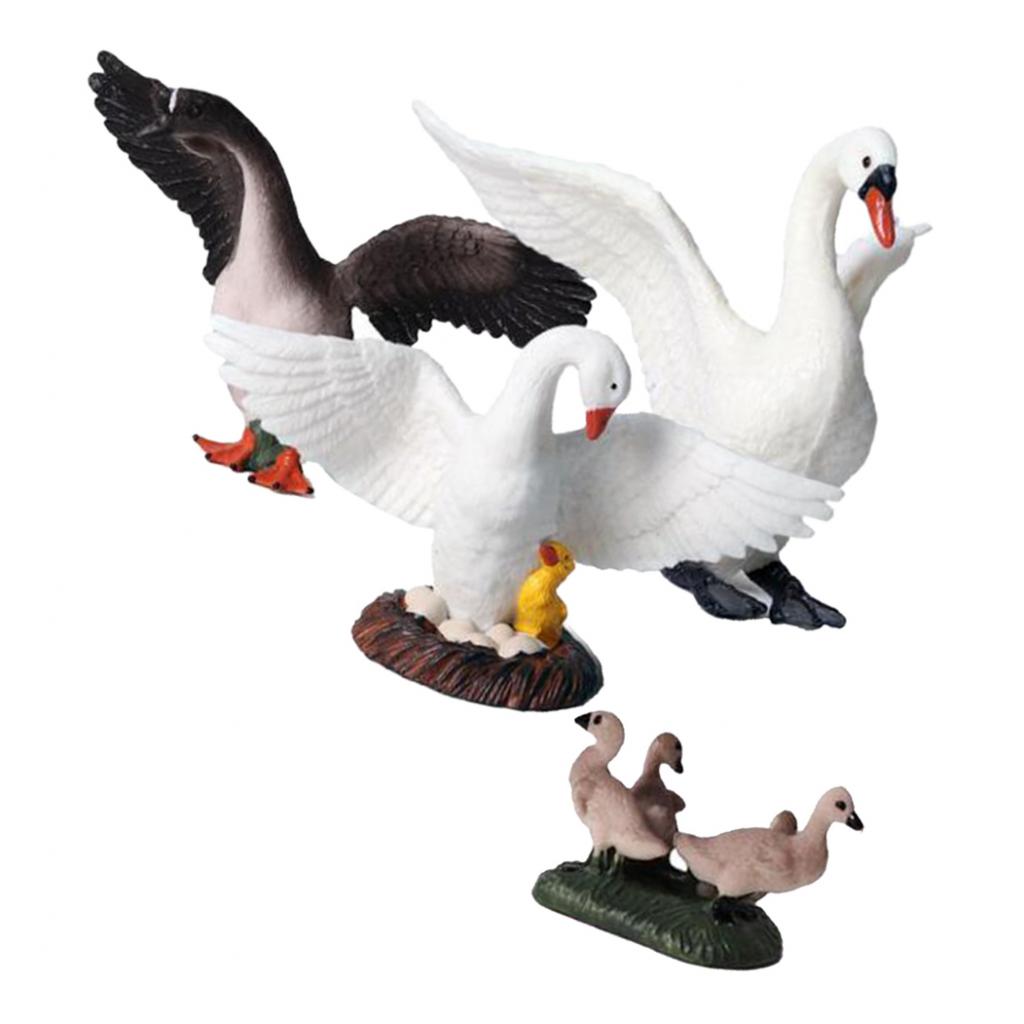 Kids Education Shows - リアルな白鳥の置物、本物そっくりの動物デスクトップ装飾、教育用コレクターズアイテム、子供向け学習用ノベルティおもちゃセット