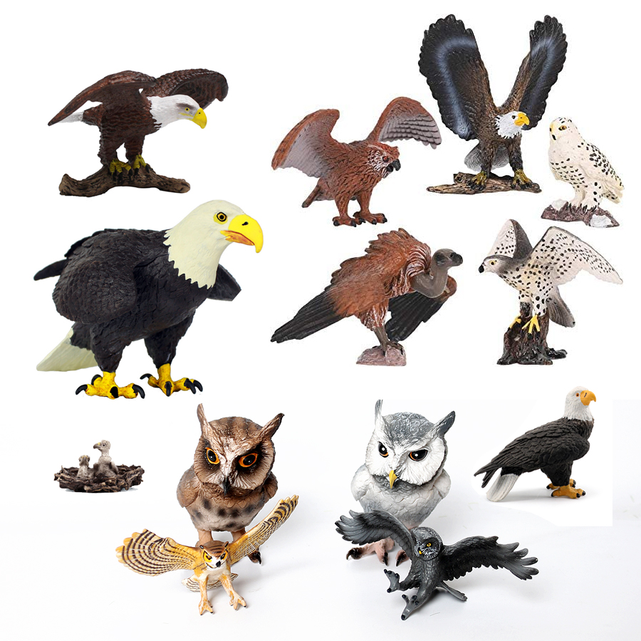 子供のために有名なプラスチックの鳥、ハクアグルイ、ルノーコン - Kids Education Shows のレビューと価格