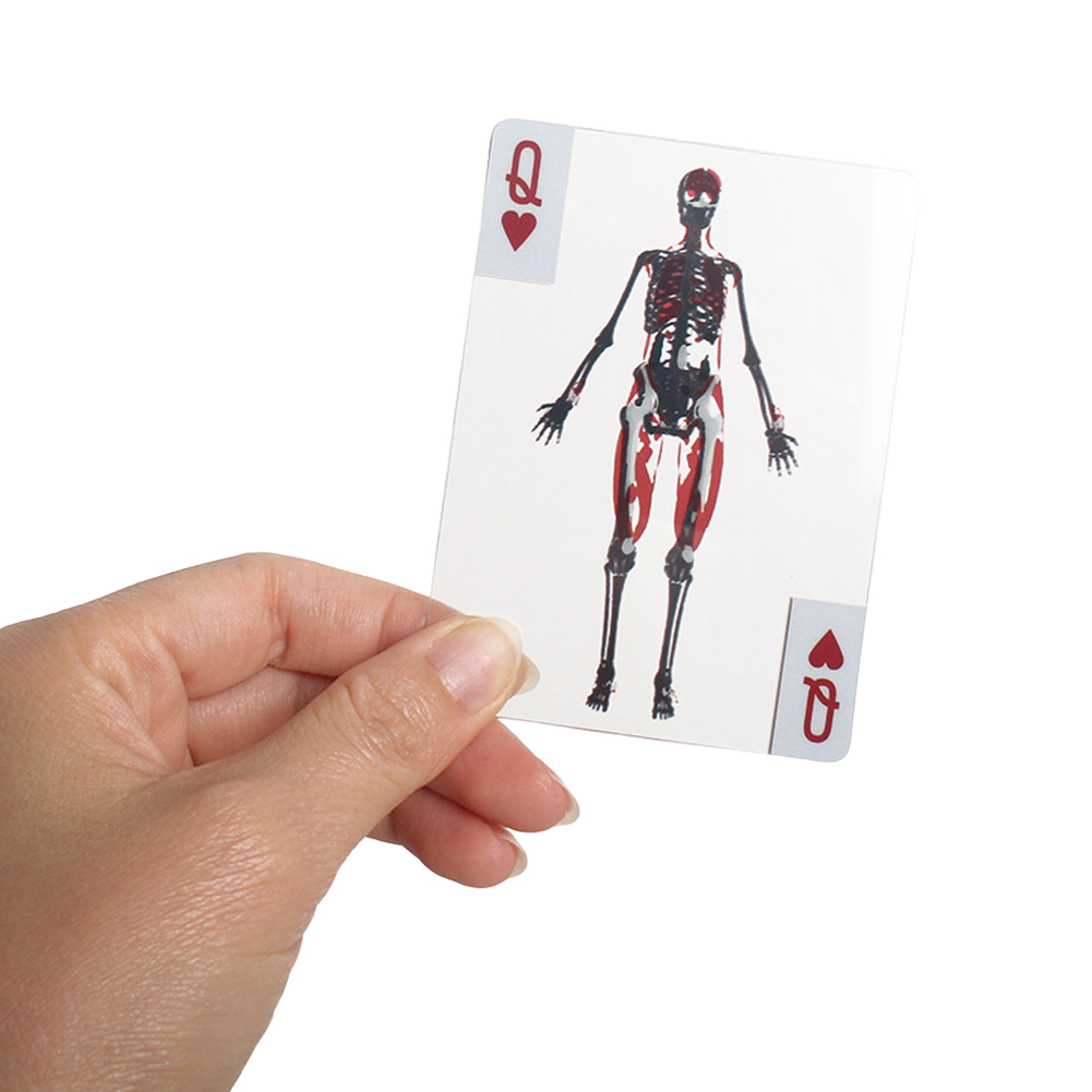 3D画像教育カード耐摩耗性ボディ透明トランプ多目的人体解剖学 - Kids Education Images のレビューと価格