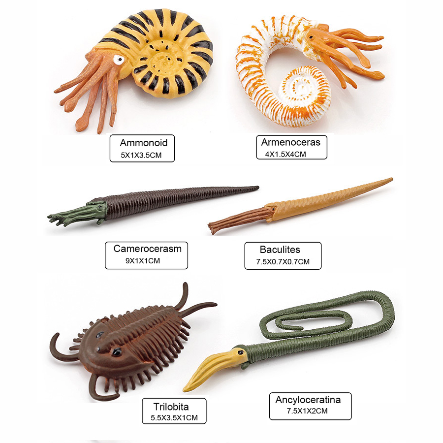 12個入りリアルなミニ古代海洋動物モデルフィギュア、先史時代 - Kids Education Shows のレビューと価格